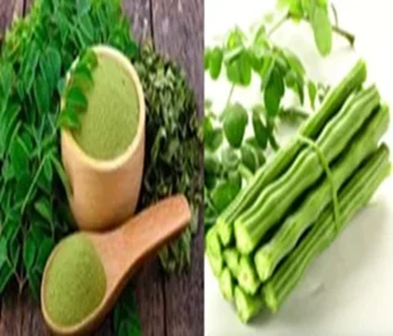 Moringa Powder Details